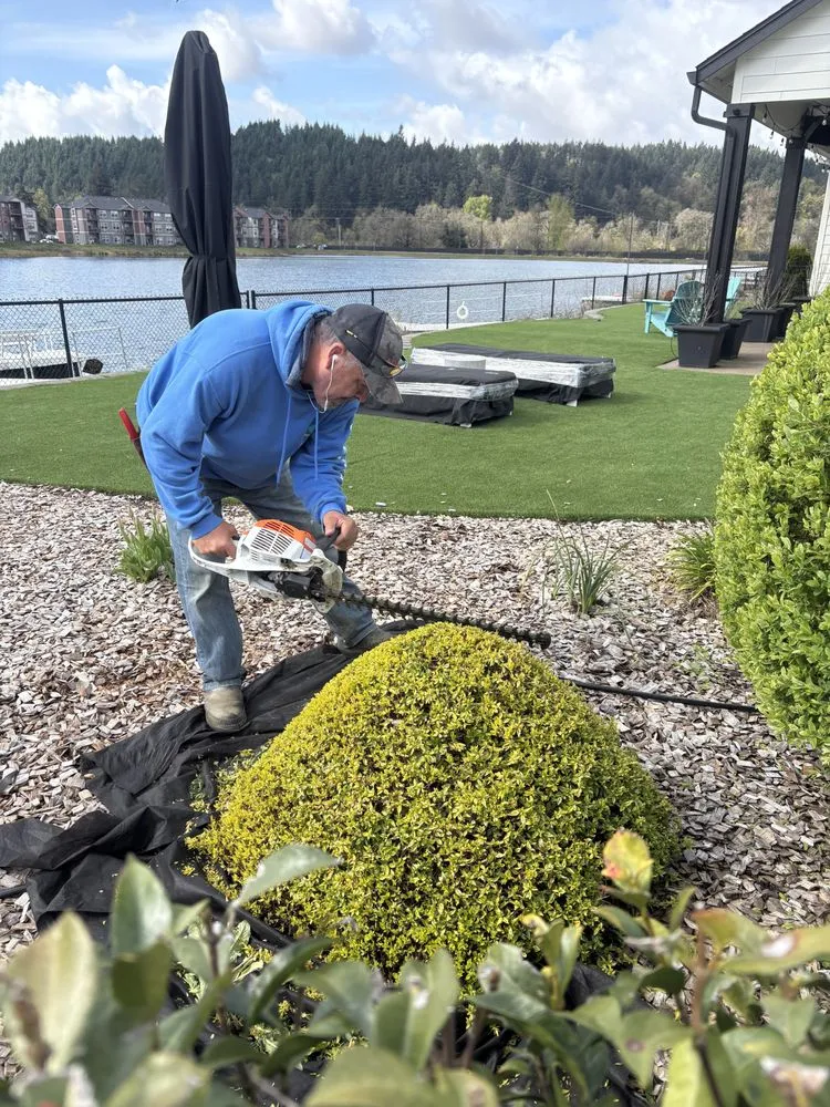 Custom landscape design in Salem, OR by Oakmark