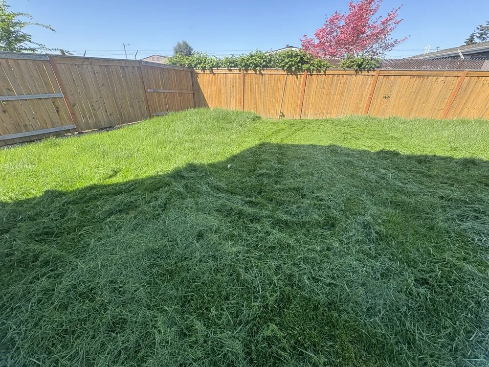 Expert residential landscaping in Salem, OR by Oakmark