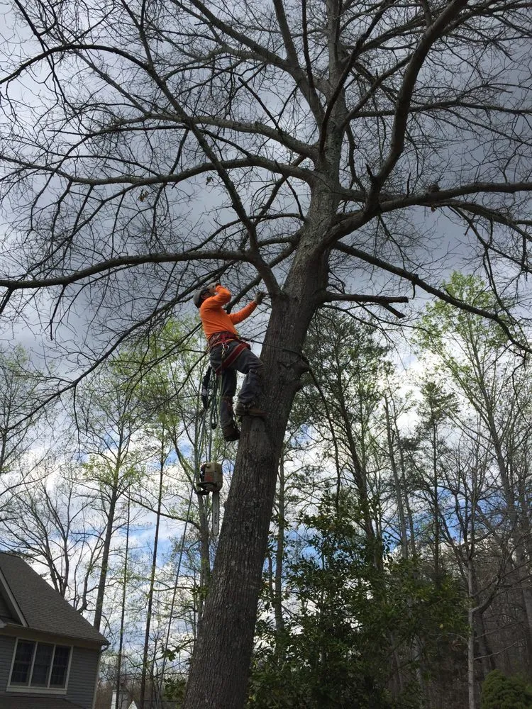 Local landscaping services in Fredericksburg, VA - Oakmont Landscaping