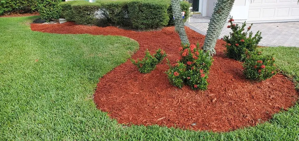 Reliable yard cleanup service in Palm Bay, FL - Oakmont Lawn care