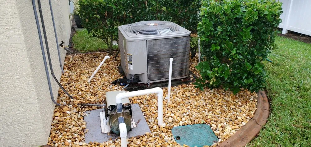 Custom yard maintenance in Palm Bay, FL - Oakmont Lawn care