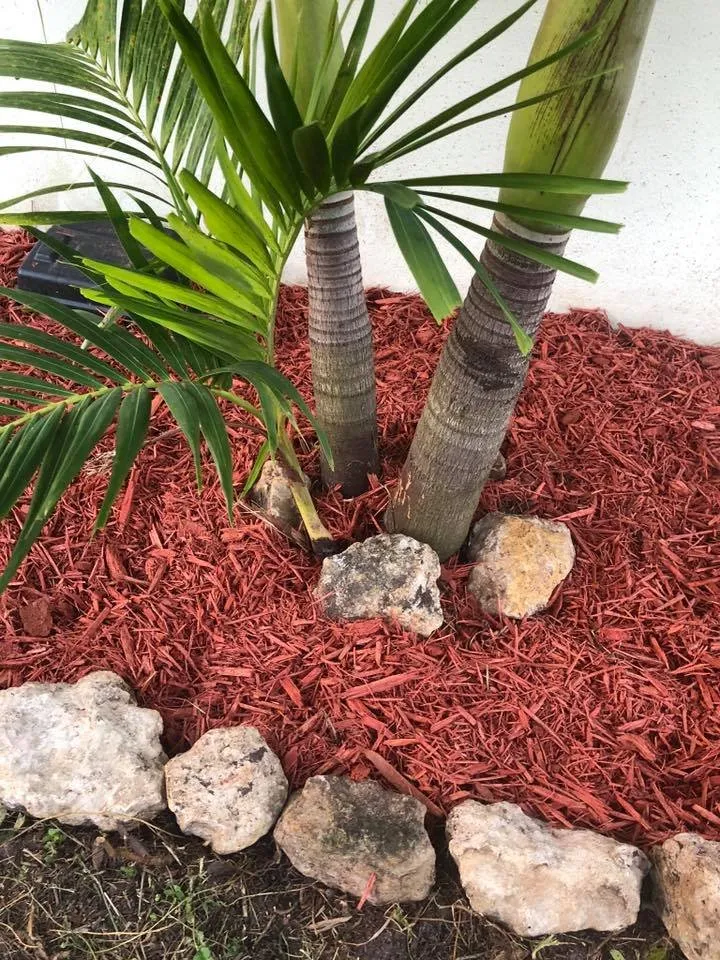 Trusted yard maintenance in Palm Bay, FL - Oakmont Lawn care