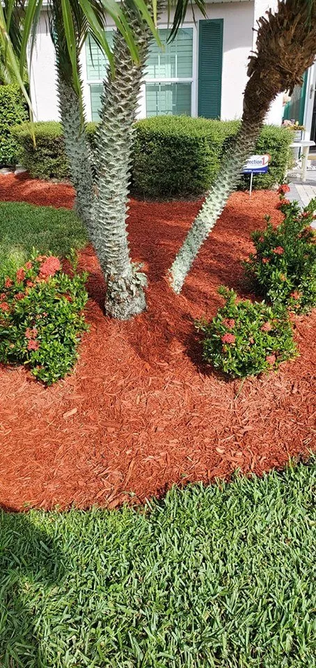 Expert landscape design experts serving Palm Bay, FL - Oakmont Lawn care