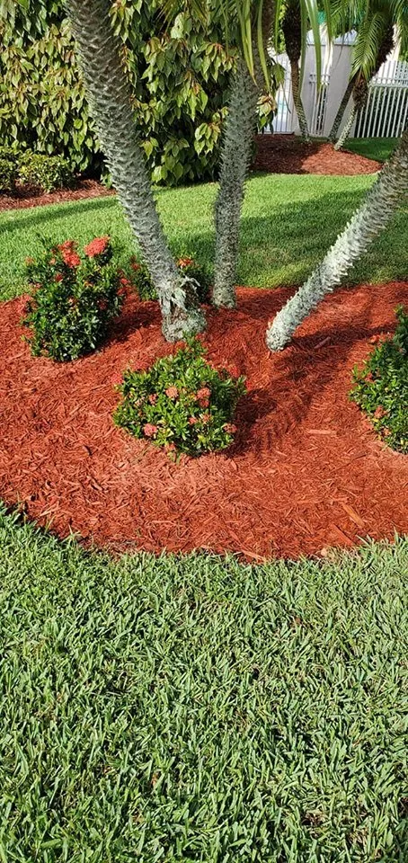 Professional lawn mowing service for outdoor upgrades across Palm Bay, FL - Oakmont Lawn care