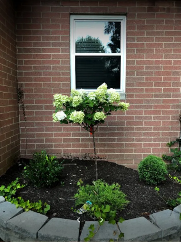 Top-rated garden landscaping in Indianapolis, IN - Oakmont Lawncare & Landscaping