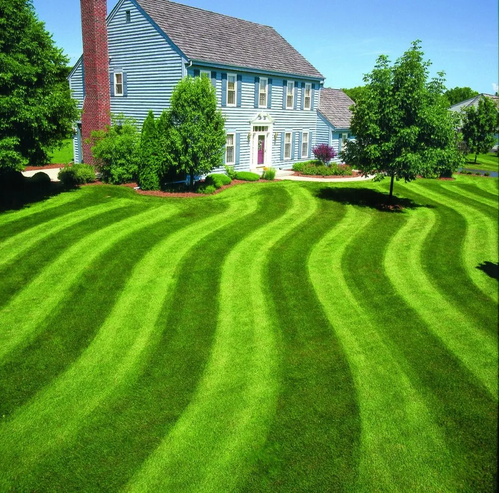 Top-rated yard cleanup service in Madison, WI - Oakmoss Lawncare