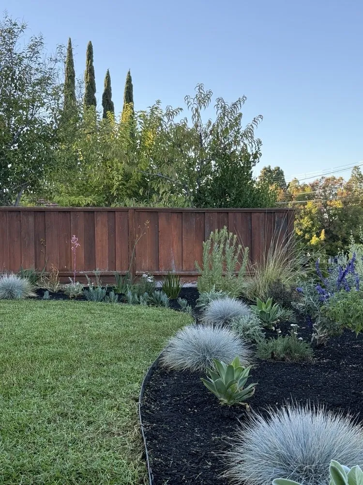 Top-rated landscape installation in Concord, CA - Oakplant Landscaping