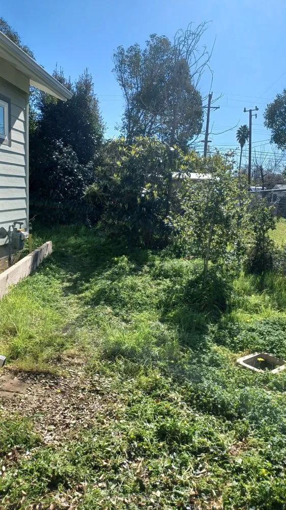 Custom landscape design in Concord, CA - Oakplant Landscaping