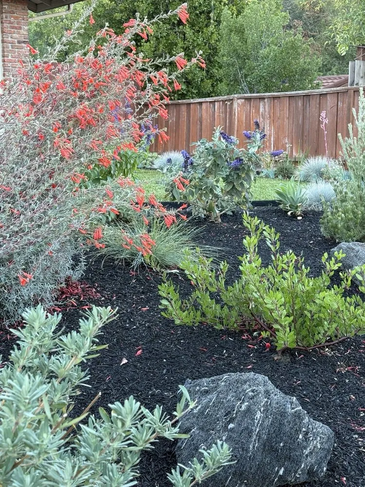 Trusted landscape installation with custom design across Concord, CA - Oakplant Landscaping