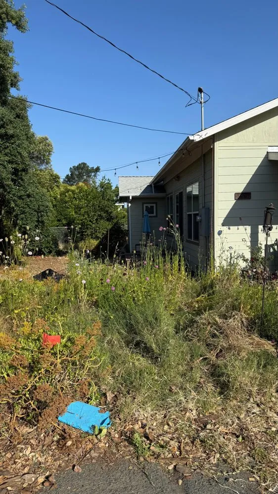 Trusted lawn care service with custom design across Concord, CA - Oakplant Landscaping