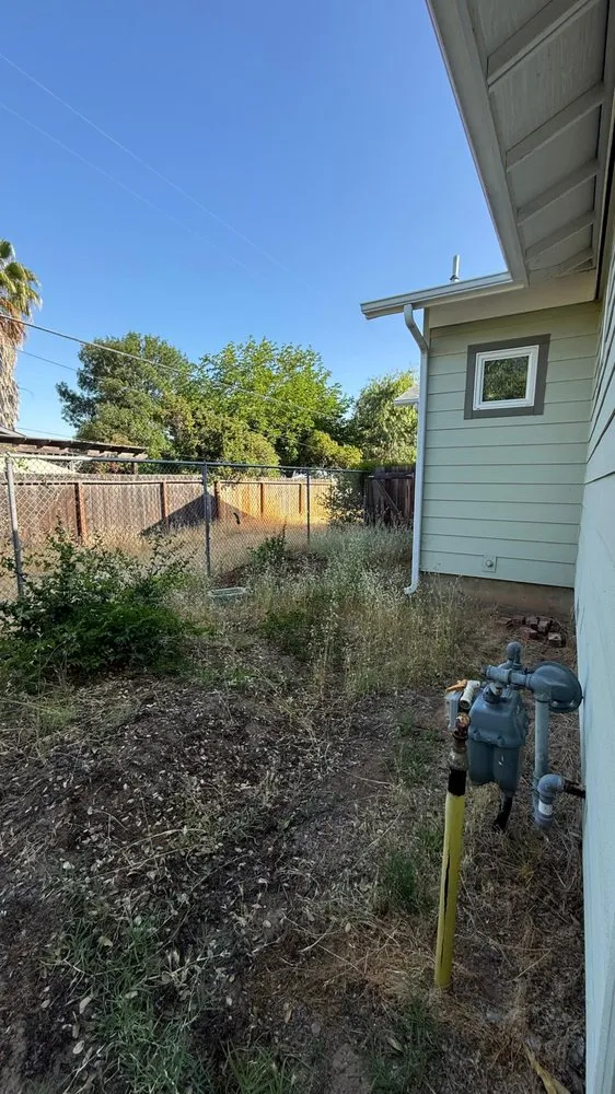 Custom yard cleanup service for homes across Concord, CA - Oakplant Landscaping