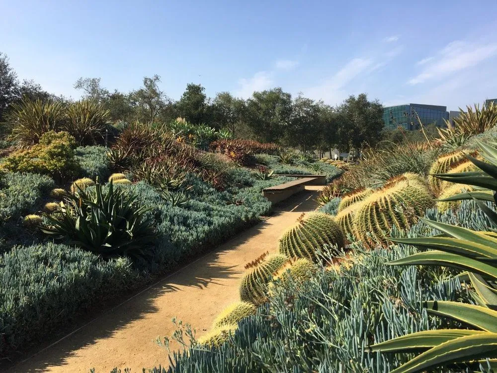 Trusted yard cleanup service near you across Valenica, CA - Oakridge Landscape