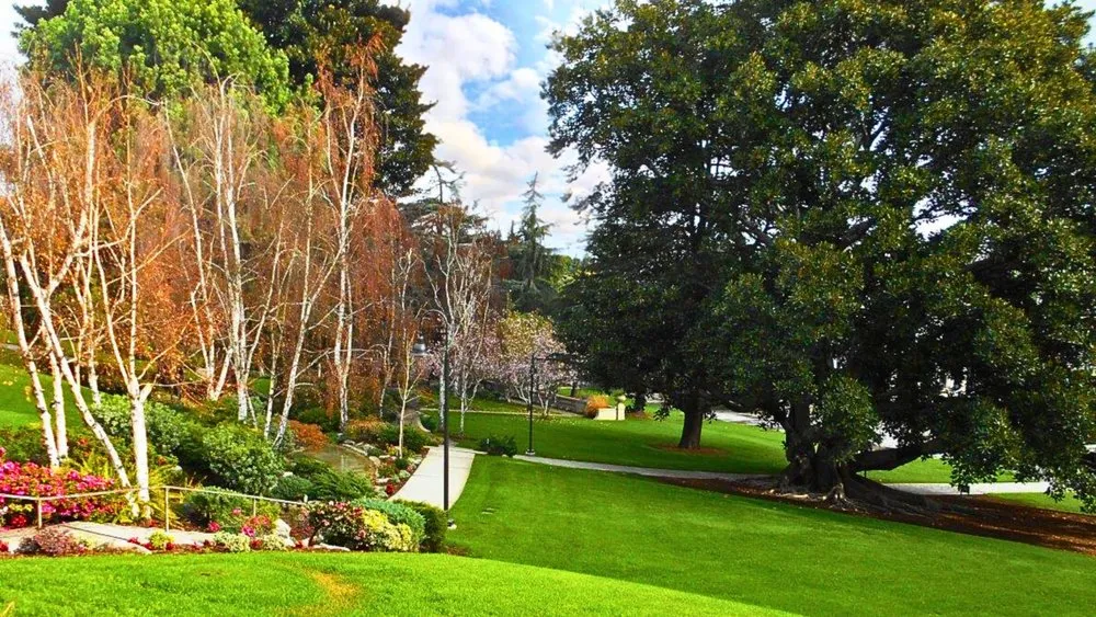 Custom garden landscaping with custom design in Valenica, CA by Oakridge Landscape