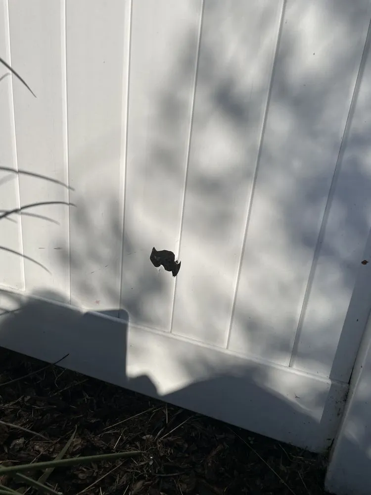 Reliable landscape installation in Valenica, CA - Oakridge Landscape