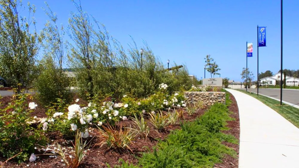 Custom landscaping services in Valenica, CA - Oakridge Landscape