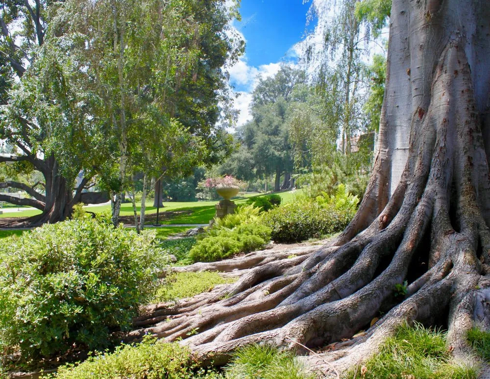 Professional landscaping services in Valenica, CA - Oakridge Landscape