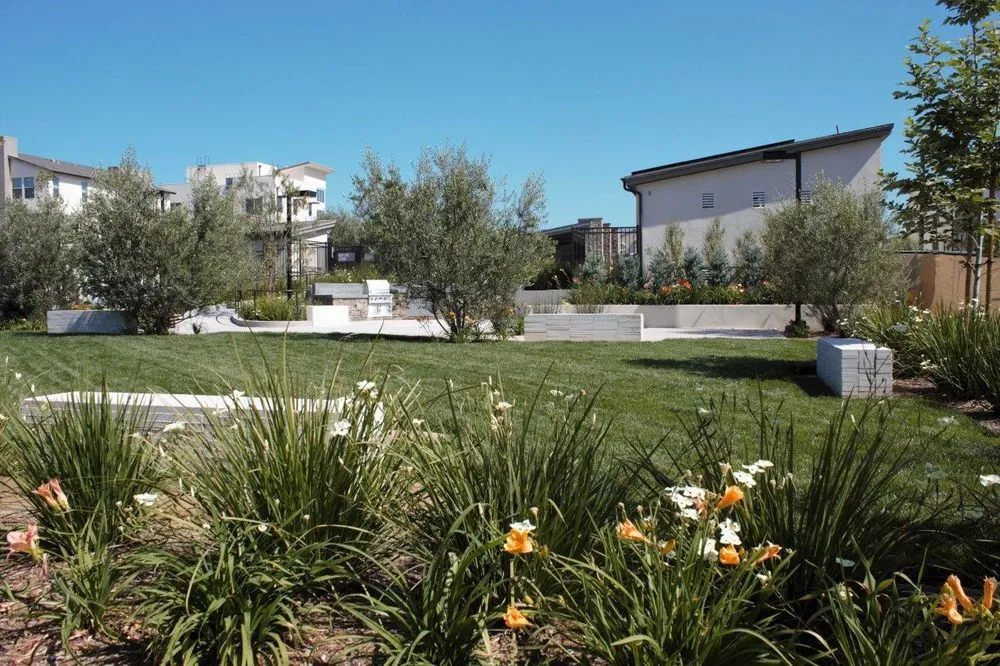 Top-rated outdoor landscaping for year-round maintenance across Valenica, CA - Oakridge Landscape