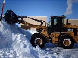 Local lawn care service for residential properties in Royal Oak, MI by Oakridge Lawn and Snow