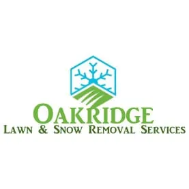 Expert lawn care service with custom design across Royal Oak, MI - Oakridge Lawn and Snow