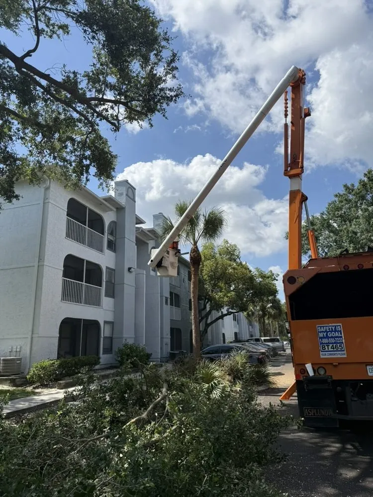 Reliable lawn mowing service experts serving Port Richey, FL - Oaks Lawn and Tree Service