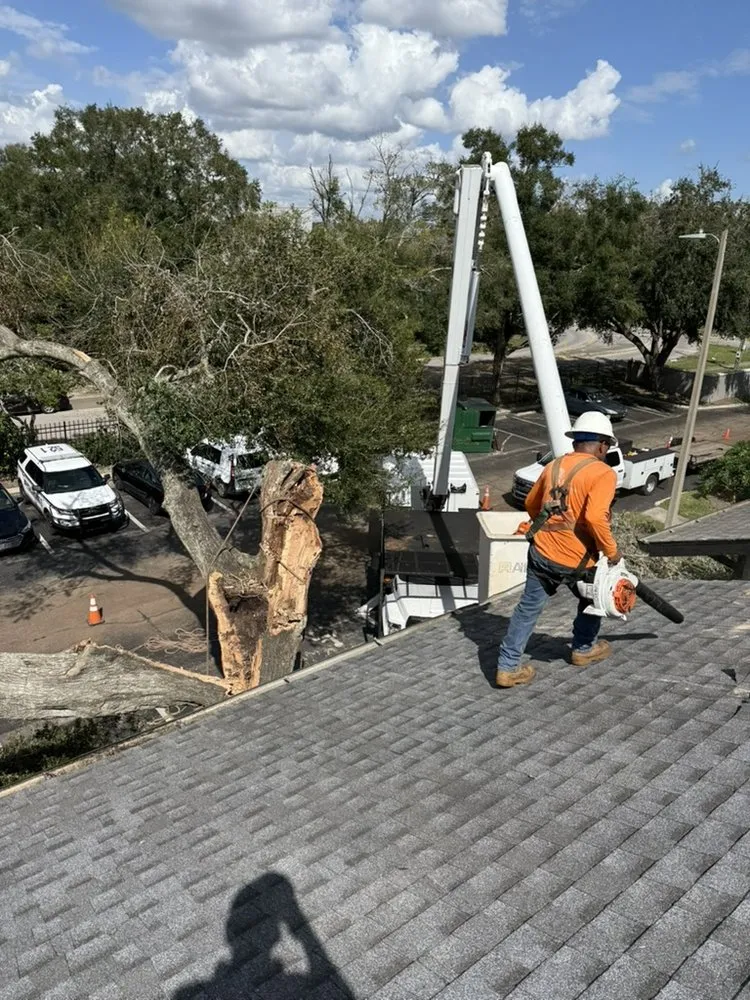 Top-rated yard cleanup service for beautiful yards in Port Richey, FL by Oaks Lawn and Tree Service