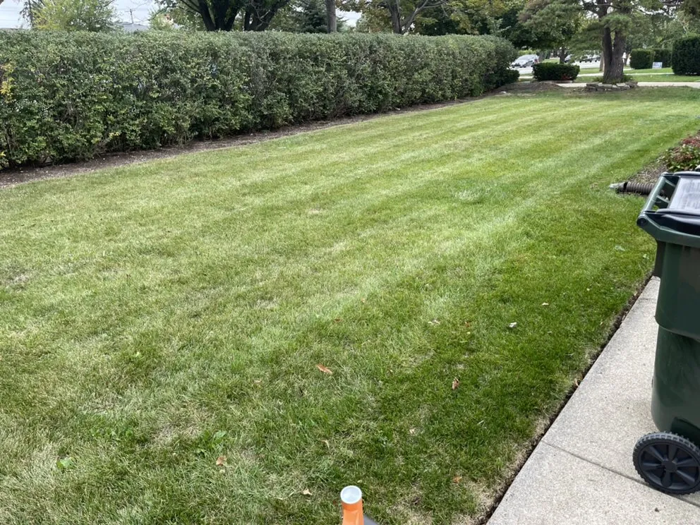 Reliable landscape design experts serving Park Ridge, IL - Oakton Property Maintenance