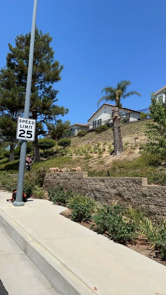 Expert garden landscaping for outdoor upgrades across Canoga Park, CA - Oaktree Landscape & Maintenance