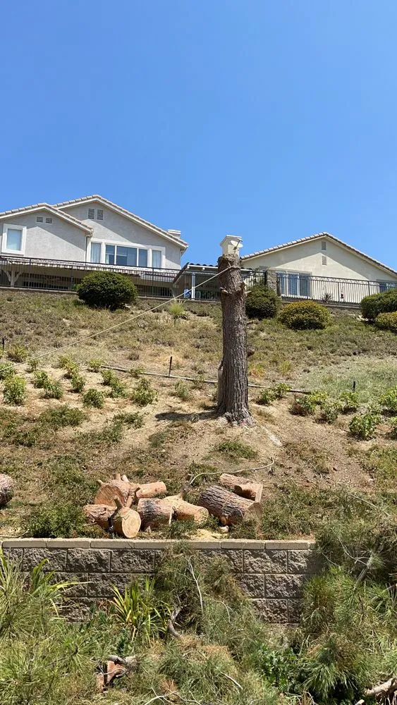 Reliable landscaping services for year-round maintenance across Canoga Park, CA - Oaktree Landscape & Maintenance