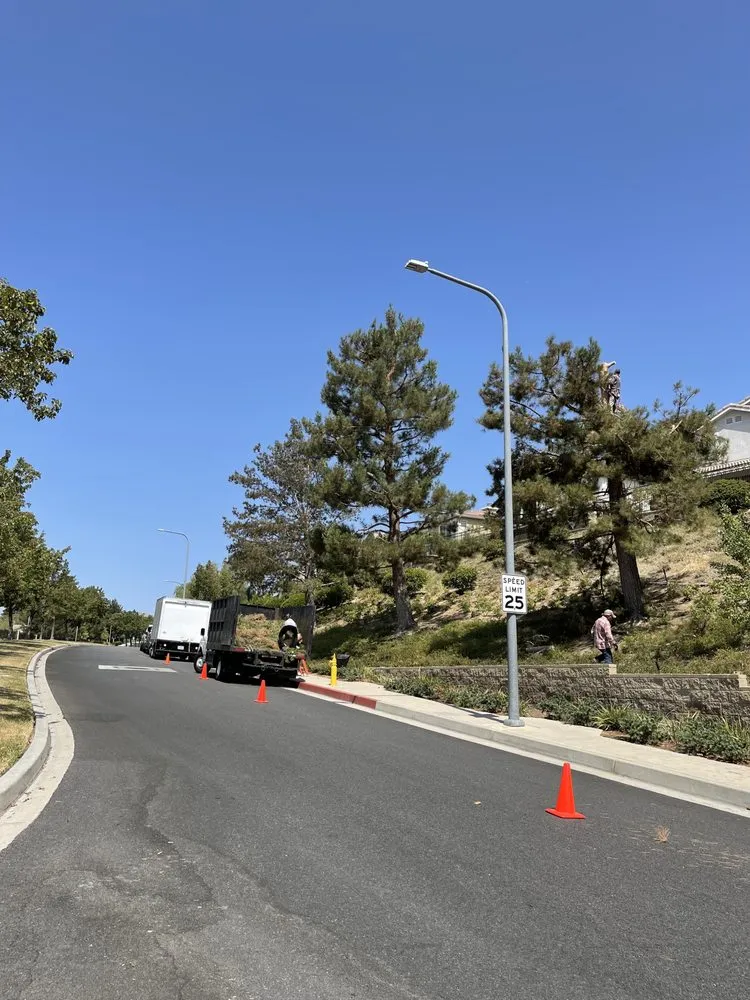 Affordable residential landscaping experts serving Canoga Park, CA - Oaktree Landscape & Maintenance