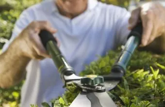 Local yard cleanup service experts serving Canoga Park, CA - Oaktree Landscape & Maintenance