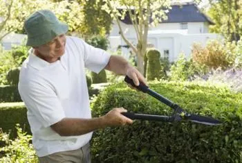 Professional residential landscaping for beautiful yards across Canoga Park, CA - Oaktree Landscape & Maintenance