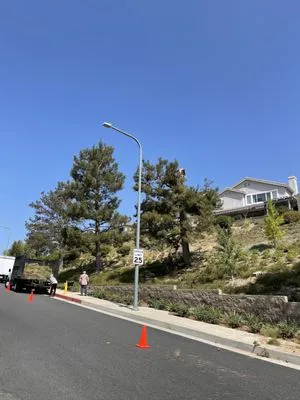 Oaktree Landscape & Maintenance Logo