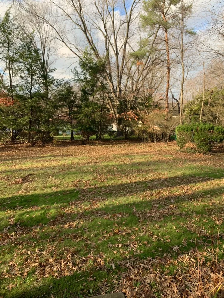 Trusted landscape design for homes in Cleveland, OH by OAKTREE Lawn Care & Snow Removal