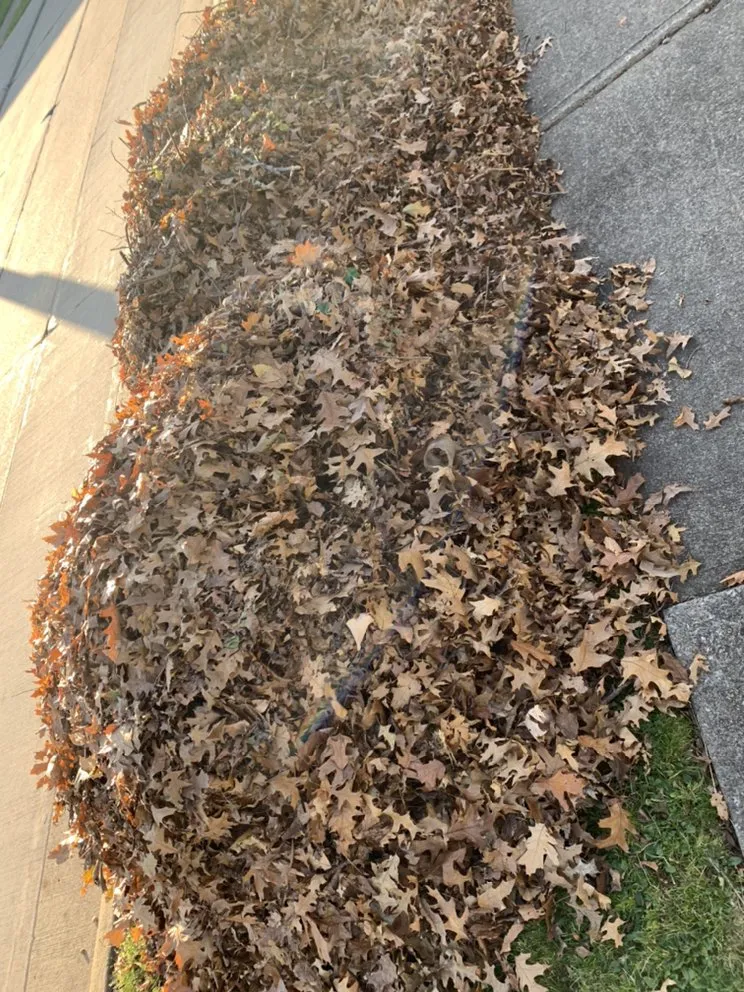 Professional landscape design for homes across Cleveland, OH - OAKTREE Lawn Care & Snow Removal