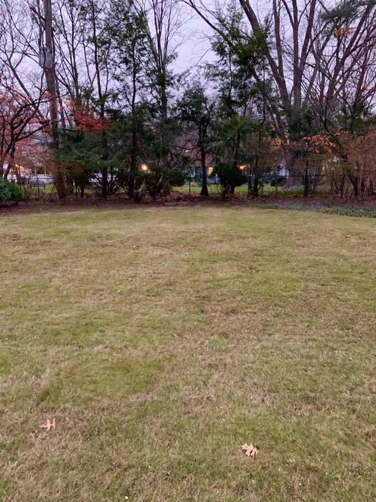 Local landscape installation in Cleveland, OH by OAKTREE Lawn Care & Snow Removal