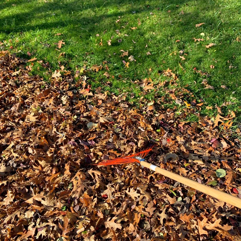 Affordable lawn care service for beautiful yards across Cleveland, OH - OAKTREE Lawn Care & Snow Removal