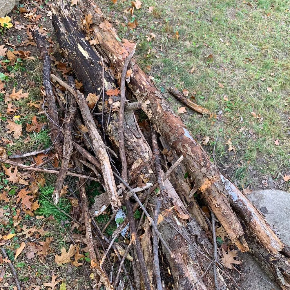 Affordable garden landscaping for outdoor upgrades across Cleveland, OH - OAKTREE Lawn Care & Snow Removal