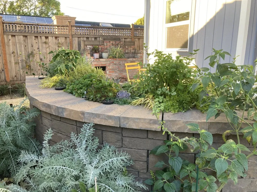 Top-rated yard maintenance experts serving Mountain View, CA - Oakwest Landscapes