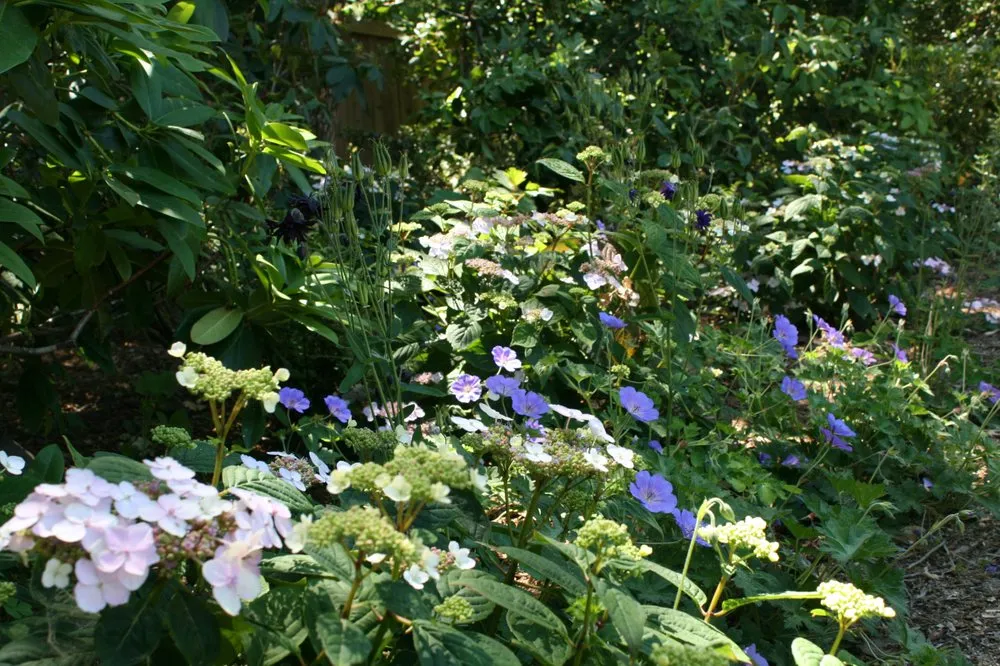 Custom lawn mowing service in Mountain View, CA by Oakwest Landscapes