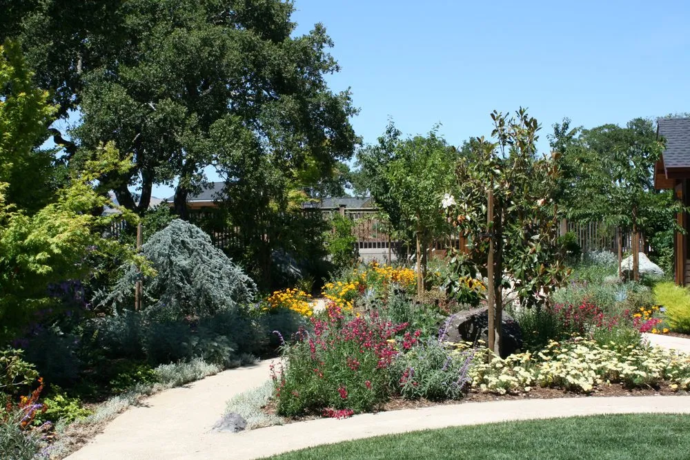 Custom yard cleanup service for year-round maintenance in Mountain View, CA by Oakwest Landscapes