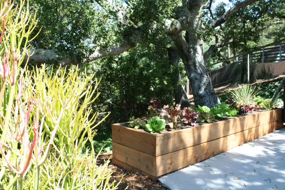 Trusted garden landscaping in Mountain View, CA by Oakwest Landscapes