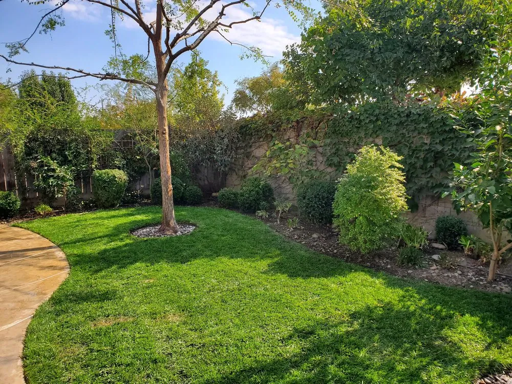 Professional outdoor landscaping experts serving Farmersville, CA - Oakwood Landscape