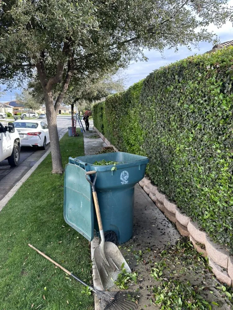 Professional garden landscaping for outdoor upgrades across Farmersville, CA - Oakwood Landscape