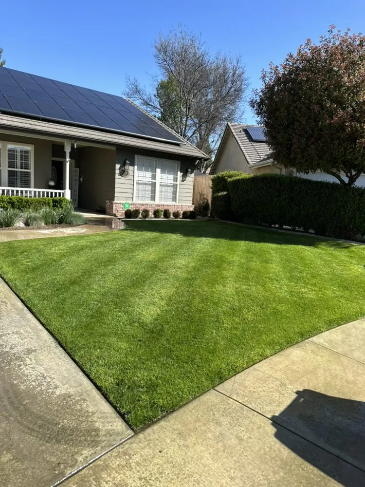 Trusted yard cleanup service for beautiful yards in Farmersville, CA by Oakwood Landscape