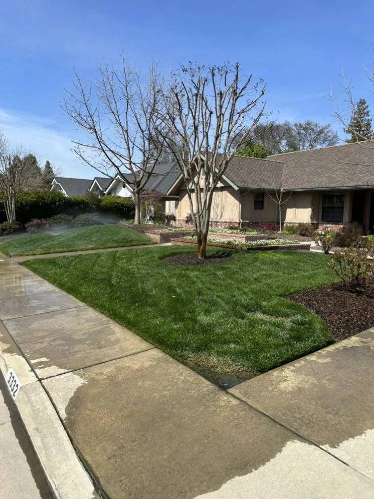 Custom landscaping services for homes across Farmersville, CA - Oakwood Landscape