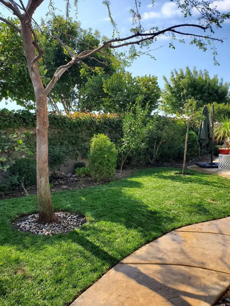 Reliable residential landscaping in Farmersville, CA by Oakwood Landscape