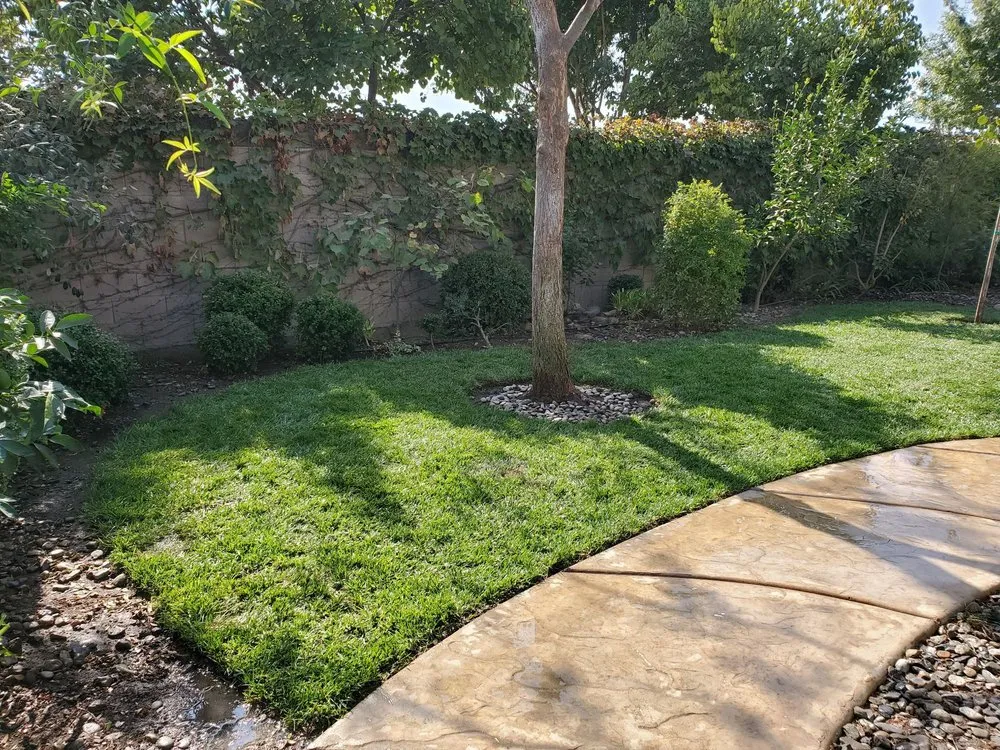 Trusted lawn care service experts serving Farmersville, CA - Oakwood Landscape