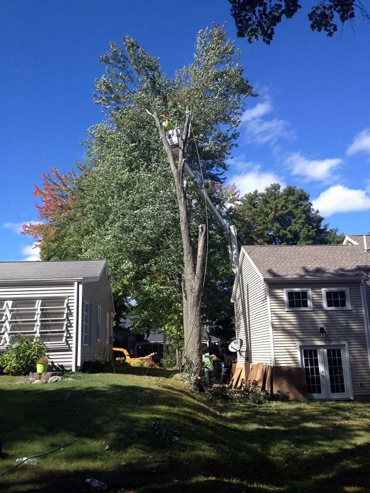 Top-rated residential landscaping in Easton, CT - Oakwood Landscaping & Construction, LLC