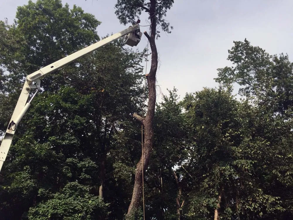 Expert landscaping services experts serving Easton, CT - Oakwood Landscaping & Construction, LLC