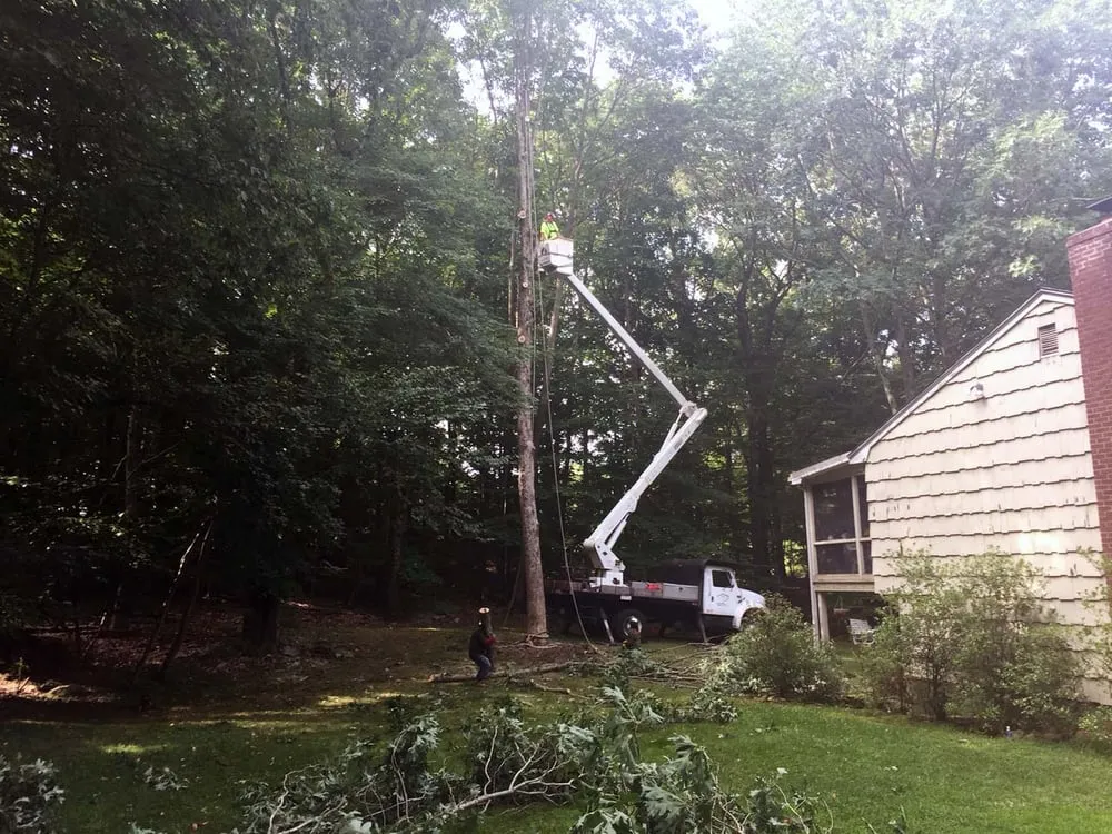 Top-rated outdoor landscaping in Easton, CT by Oakwood Landscaping & Construction, LLC